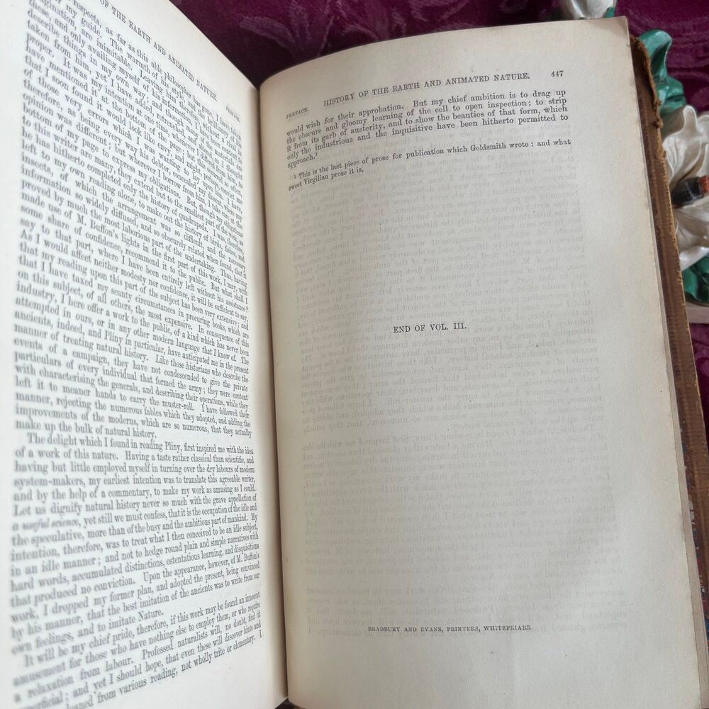 1854 The Works of Oliver Goldsmith Vol. III, Antique Book, Publisher John Murray - Picture 9 of 10